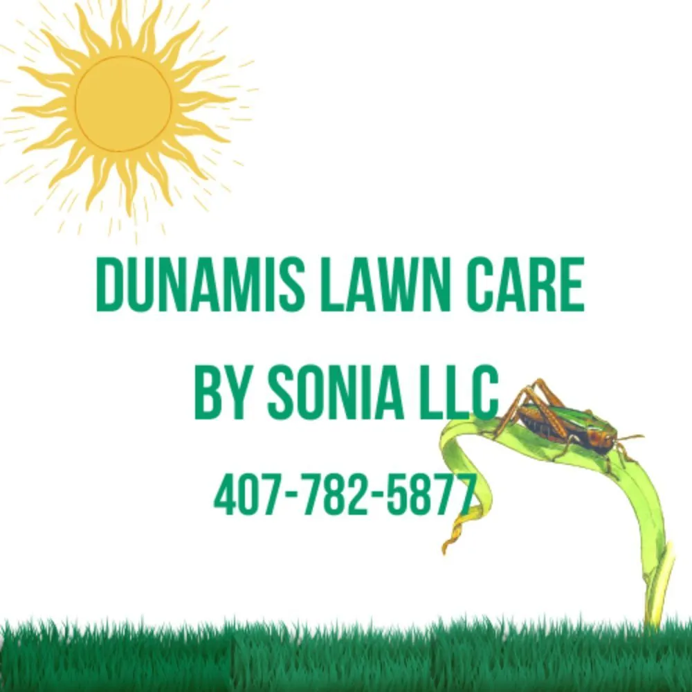 Professional yard maintenance in Aloma, FL by Dunamis Lawn care By Sonya