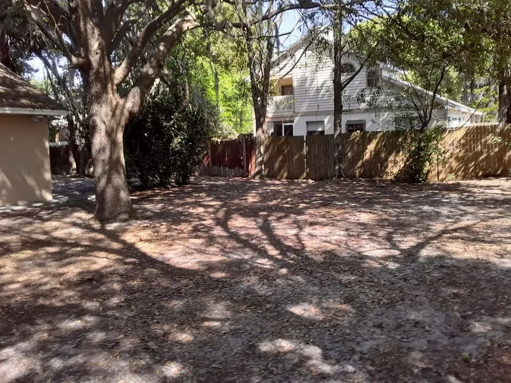 Top-rated yard cleanup service in Aloma, FL by Dunamis Lawn care By Sonya