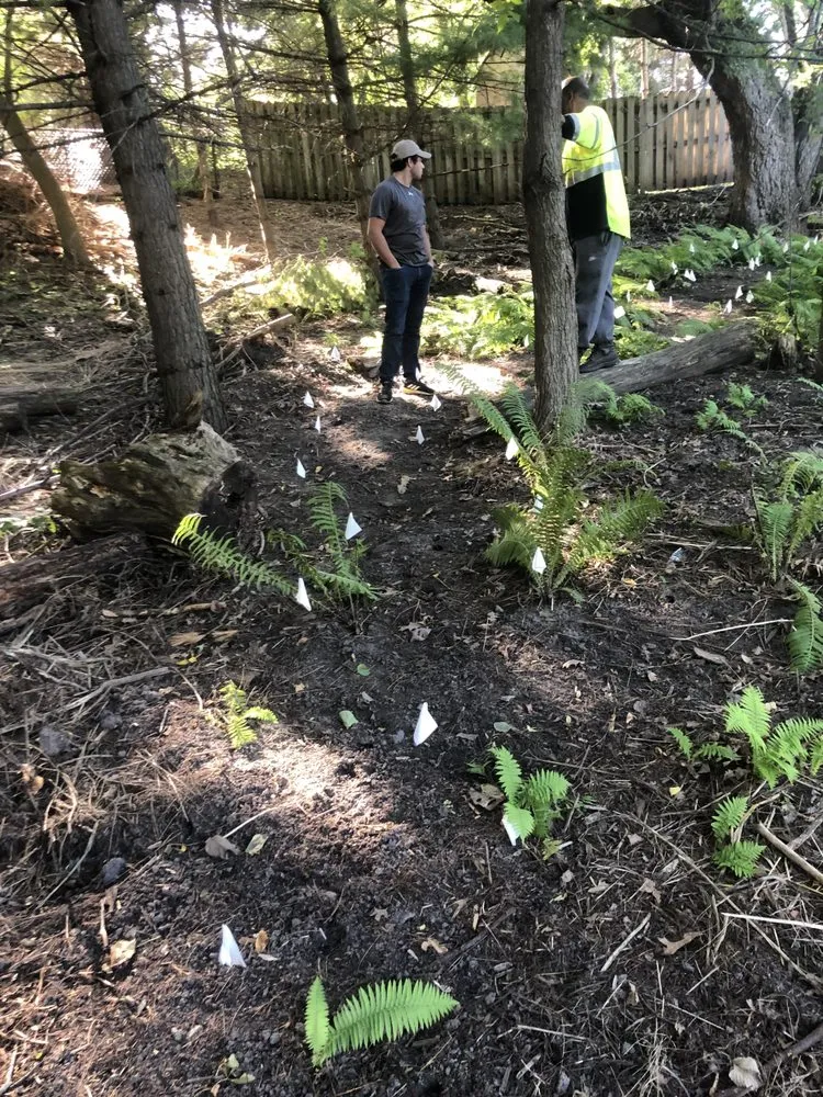 Professional lawn mowing service with custom design across Burnsville, MN - Dunbar Landscaping