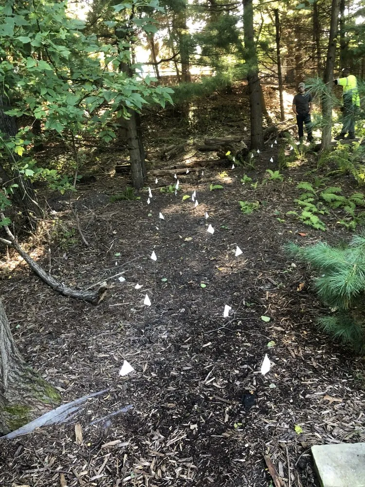 Affordable yard maintenance for residential properties in Burnsville, MN by Dunbar Landscaping