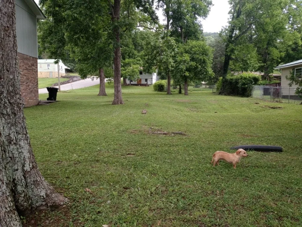 Professional garden landscaping experts serving Gadsden, AL - Duncan Landscaping