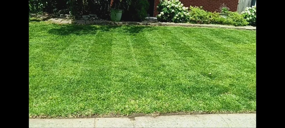 Affordable yard cleanup service in Granite City, IL by Duncan Lawn Services