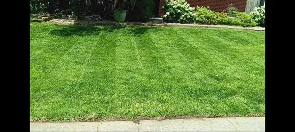 Duncan Lawn Services Logo