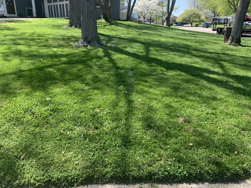 Expert yard maintenance in Columbus, IN by Duncan Outdoor Service’s