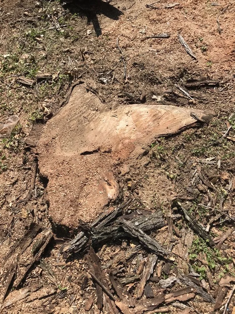 Reliable outdoor landscaping experts serving LEWISVILLE, TX - Duncan Tree & Landscape