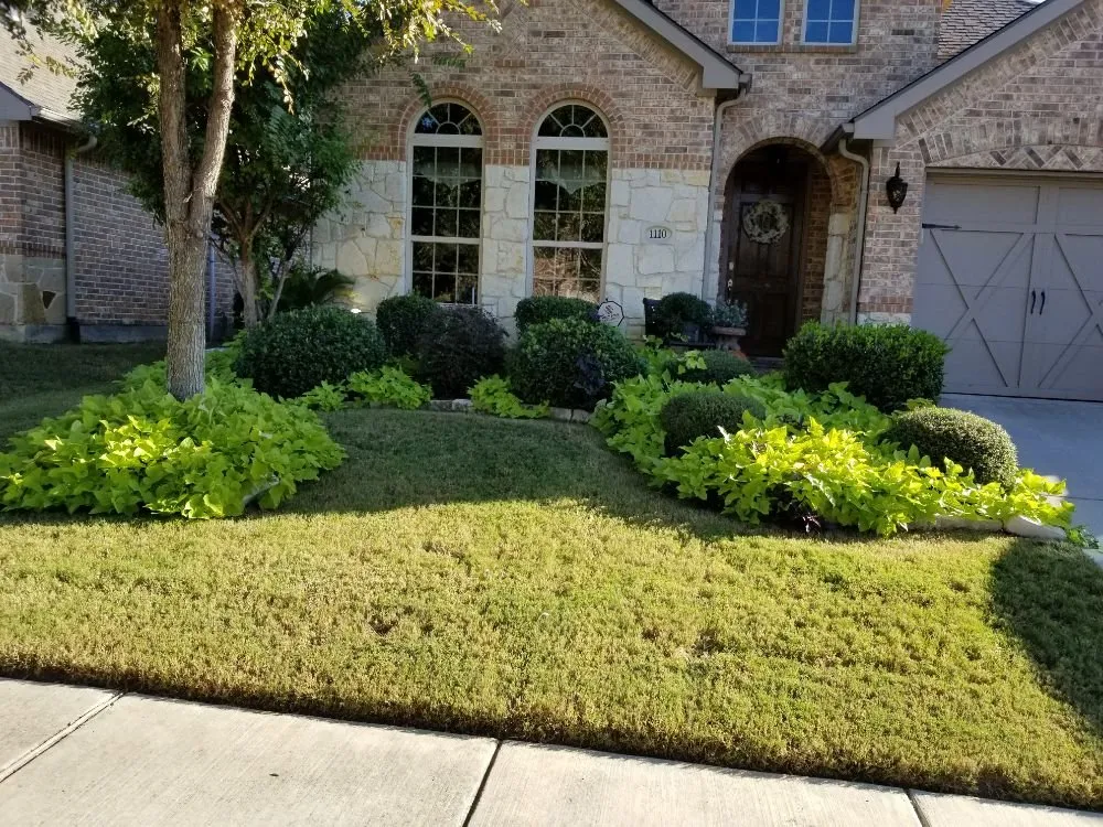 Professional lawn care service near you in LEWISVILLE, TX by Duncan Tree & Landscape