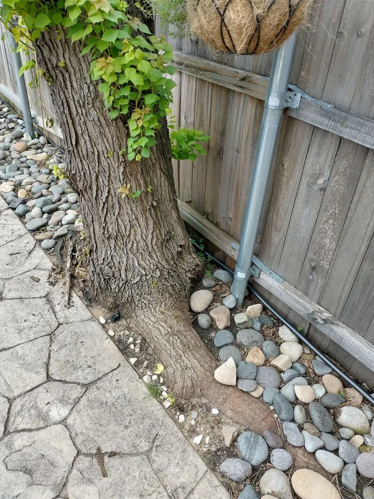 Reliable landscape design in LEWISVILLE, TX by Duncan Tree & Landscape