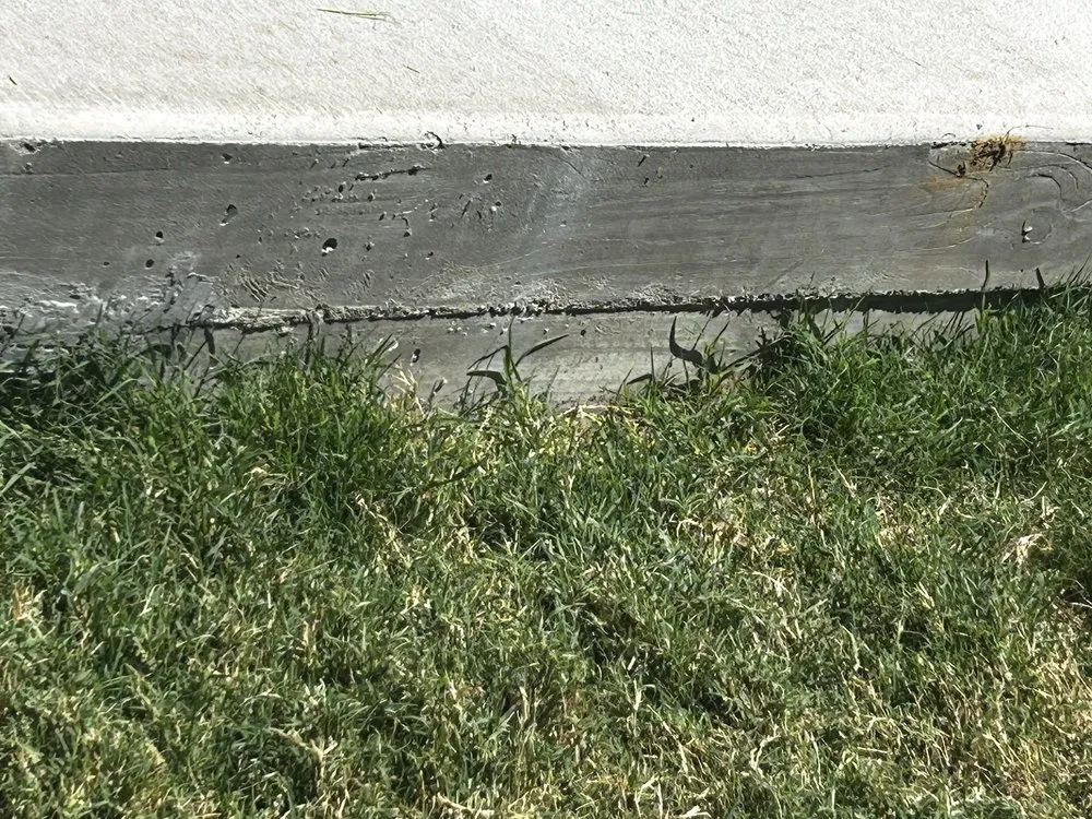 Professional outdoor landscaping with custom design in LEWISVILLE, TX by Duncan Tree & Landscape