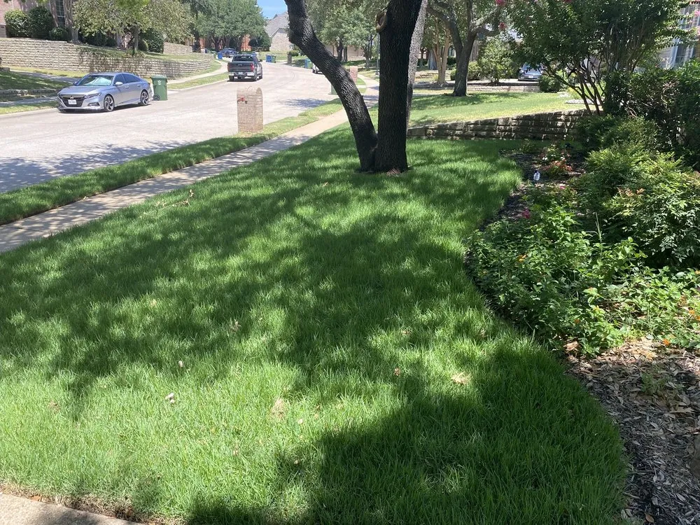 Professional lawn mowing service experts serving LEWISVILLE, TX - Duncan Tree & Landscape
