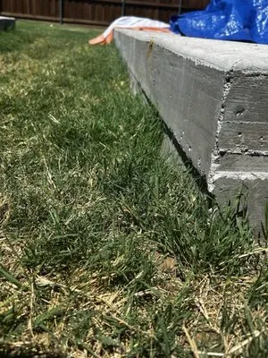 Duncan Tree & Landscape