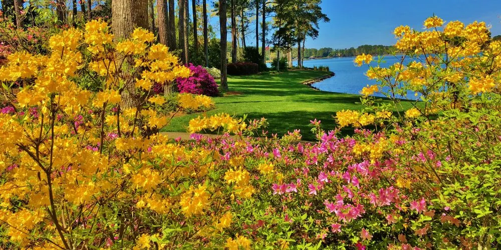 Affordable lawn mowing service in Jonesboro, GA - Duncan's Green Team