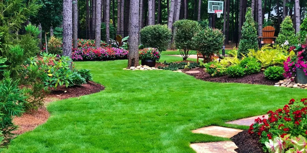 Affordable yard cleanup service experts serving Jonesboro, GA - Duncan's Green Team