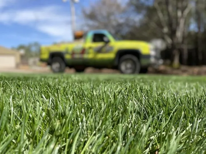 Expert residential landscaping for residential properties in Jonesboro, GA by Duncan's Green Team