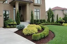 Affordable landscaping services near you in Pageland, SC by Duncan's Landscape & Pine Needles