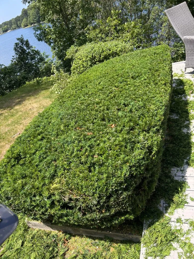 Trusted lawn care service in South Yarmouth, MA by Duncan's Landscaping and Masonry