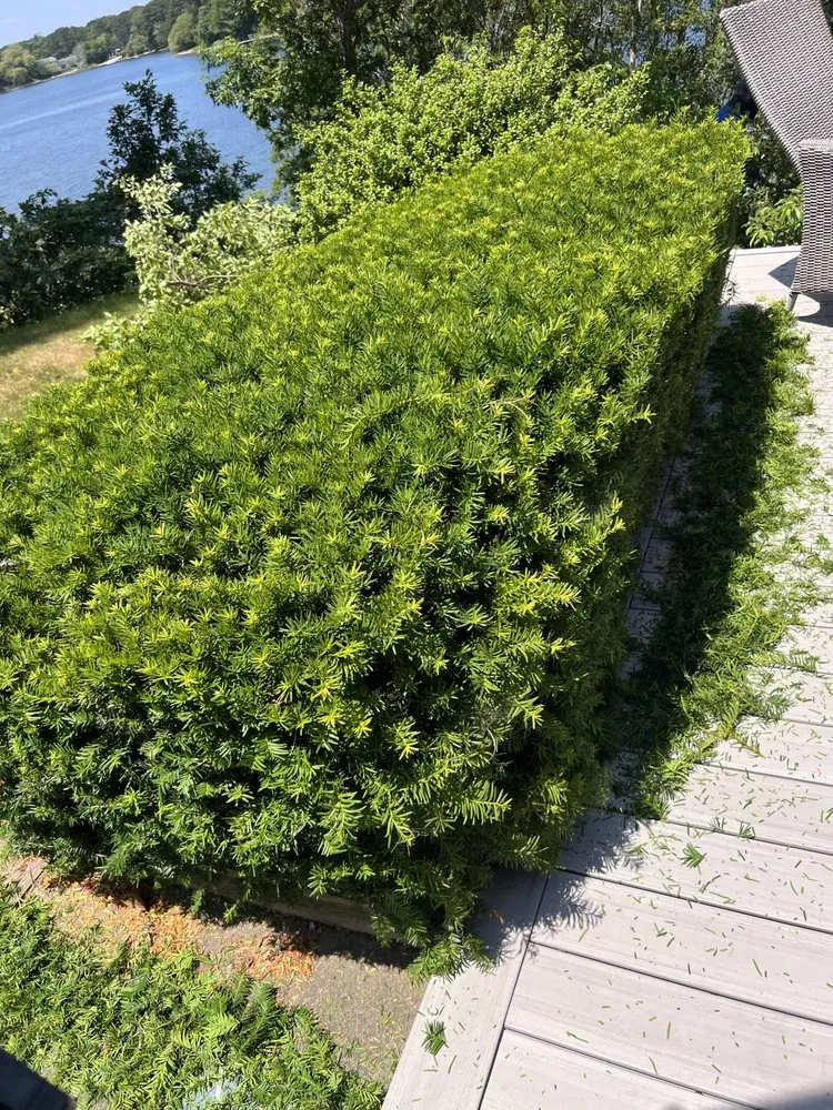 Expert outdoor landscaping for year-round maintenance in South Yarmouth, MA by Duncan's Landscaping and Masonry