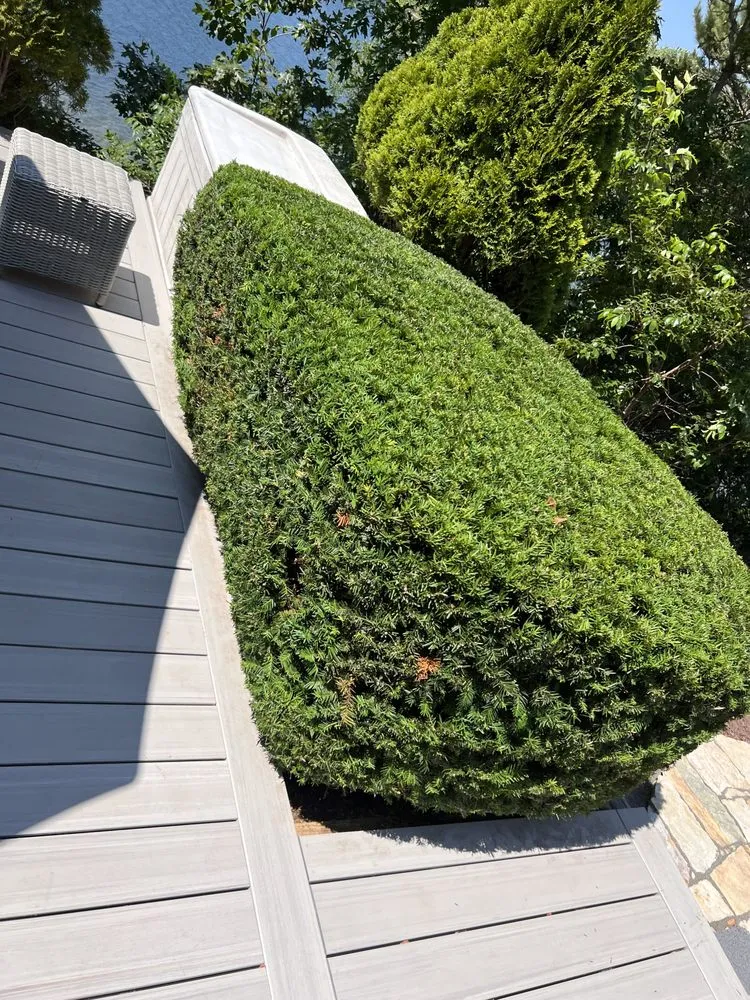 Reliable lawn care service with custom design in South Yarmouth, MA by Duncan's Landscaping and Masonry