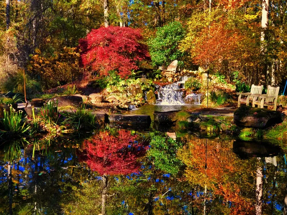 Professional landscaping services near you in Jonesboro, GA by Duncan's Landscaping