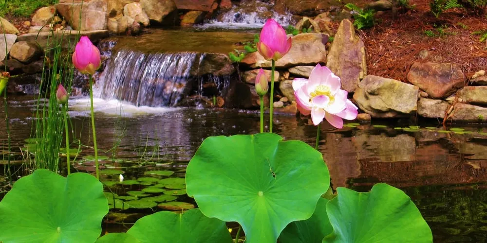 Professional landscape design with custom design across Jonesboro, GA - Duncan's Landscaping