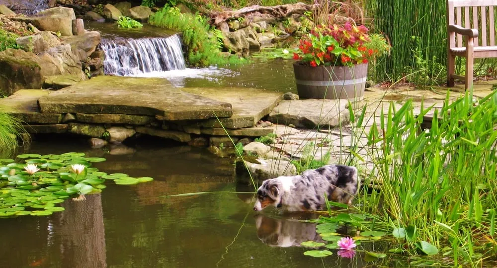 Expert residential landscaping in Jonesboro, GA - Duncan's Landscaping