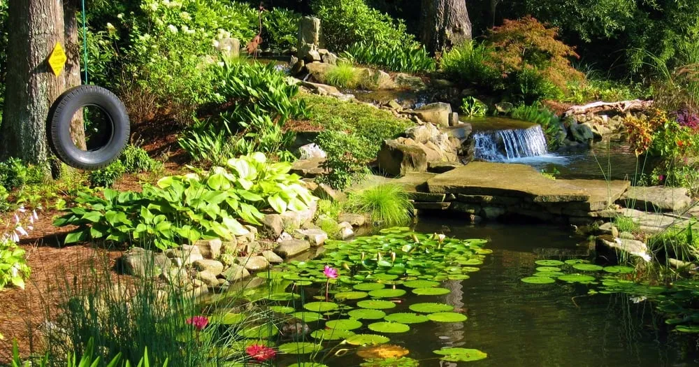 Custom yard cleanup service experts serving Jonesboro, GA - Duncan's Landscaping