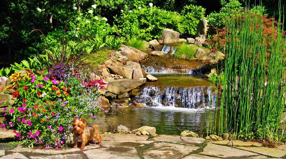 Top-rated lawn care service for homes in Jonesboro, GA by Duncan's Landscaping