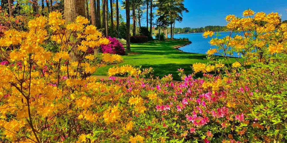 Top-rated landscaping services in Jonesboro, GA - Duncan's Landscaping