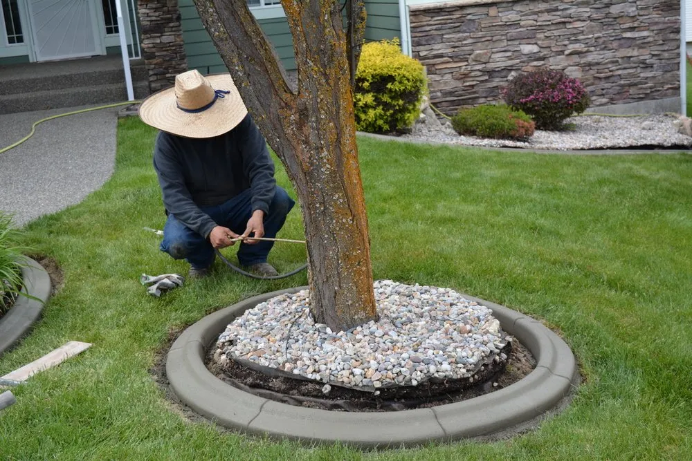 Reliable lawn mowing service experts serving Spokane, WA - Dundee Concrete and Landscaping