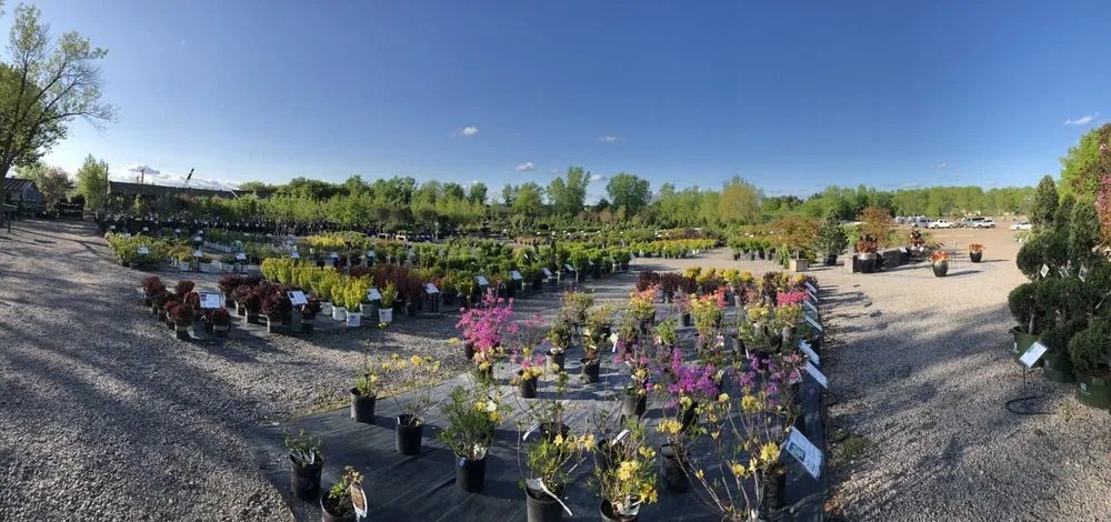 Trusted lawn care service for homes across Osseo, MN - Dundee Nursery