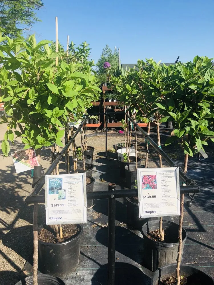 Custom outdoor landscaping for homes in Osseo, MN by Dundee Nursery