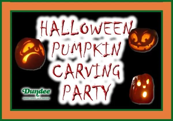 Affordable landscape installation in Osseo, MN - Dundee Nursery