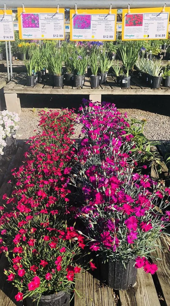 Trusted landscaping services experts serving Osseo, MN - Dundee Nursery