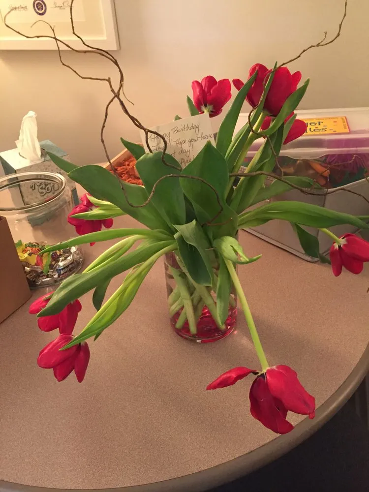 Reliable outdoor landscaping in Osseo, MN by Dundee Nursery