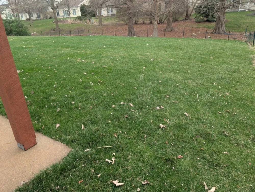 Trusted garden landscaping for year-round maintenance in Tolono, IL by Dundore's Lawncare