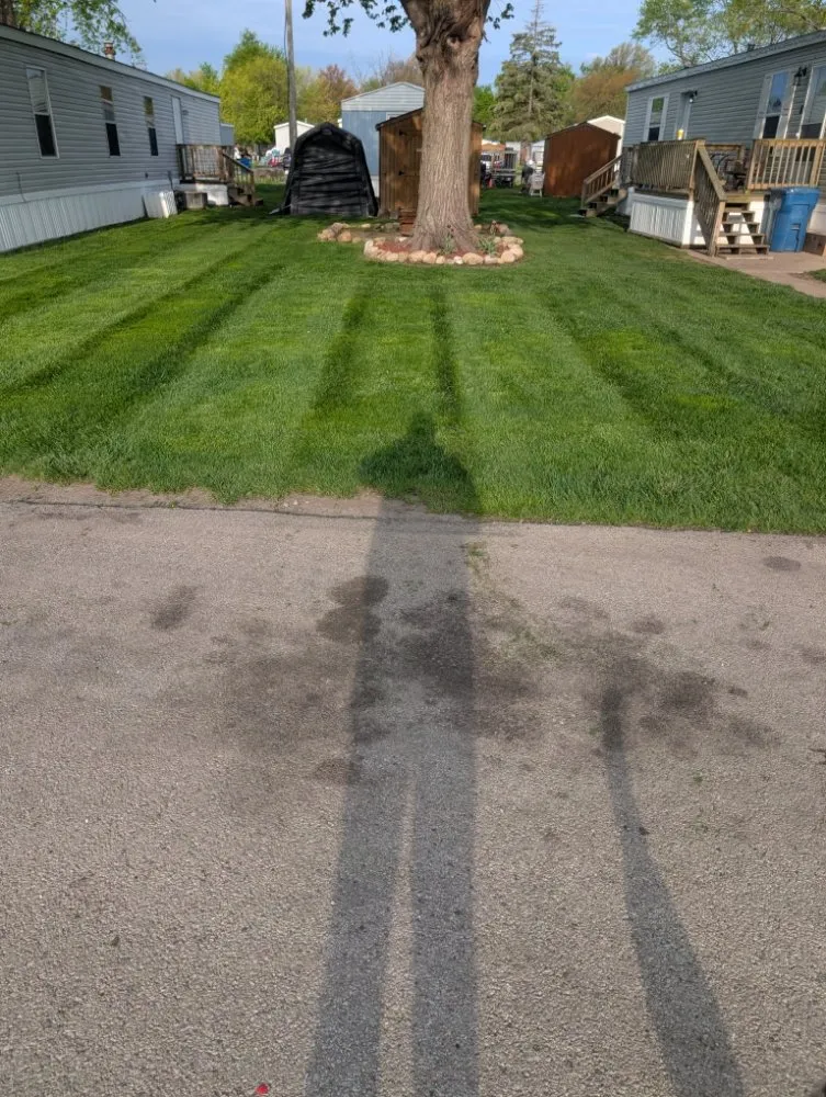 Expert yard cleanup service experts serving Tolono, IL - Dundore's Lawncare