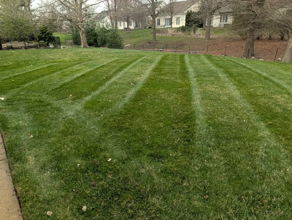 Custom yard cleanup service in Tolono, IL - Dundore's Lawncare