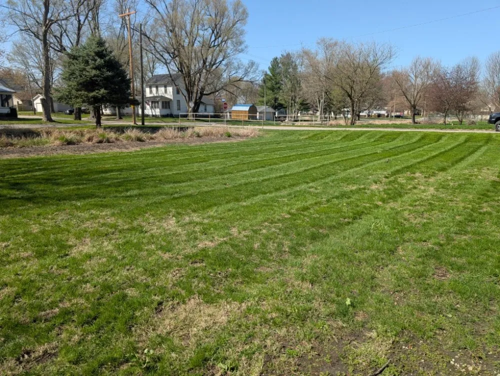 Expert yard cleanup service in Tolono, IL by Dundore's Lawncare