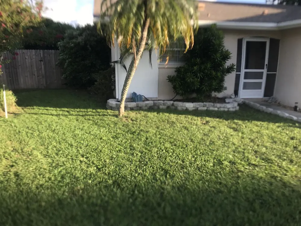 Reliable residential landscaping for homes across Dunedin, FL - Dunedin Lawn Pros