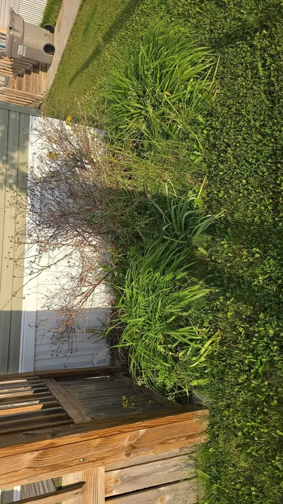 Local residential landscaping experts serving Woodburn, IN - Dunham Home & Lawn