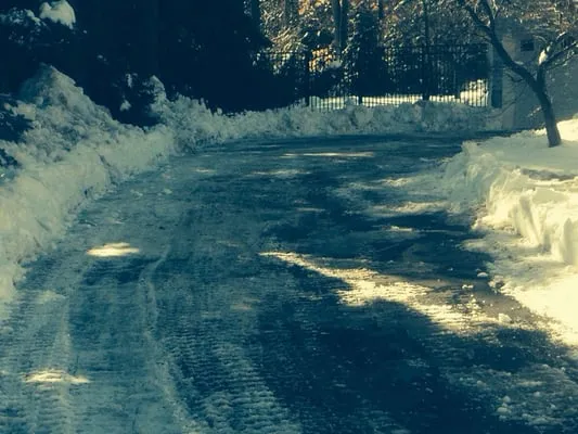 Dunigan Landscaping, LLC Logo