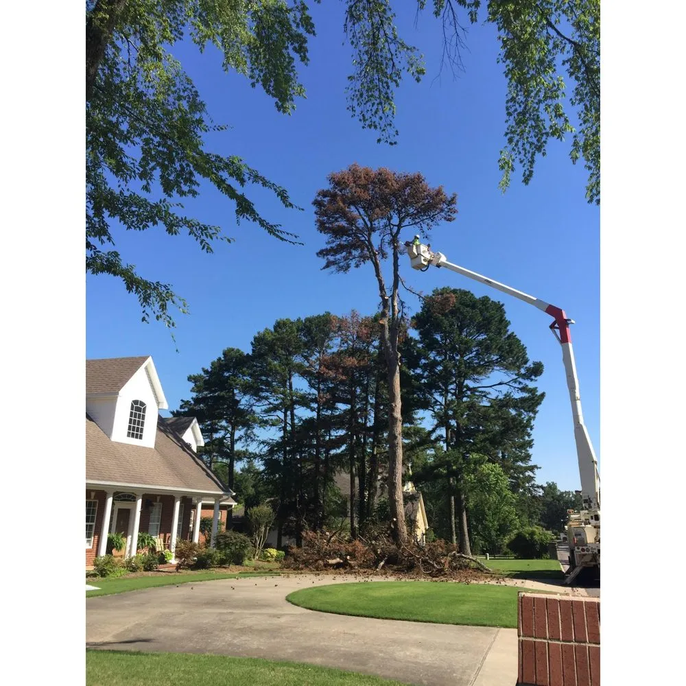 Trusted landscaping services experts serving Russellville, AR - Dunlap Tree & Land Services