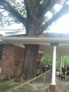 Top-rated landscape installation in Russellville, AR - Dunlap Tree & Land Services