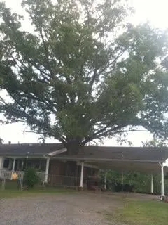 Custom landscaping services in Russellville, AR by Dunlap Tree & Land Services