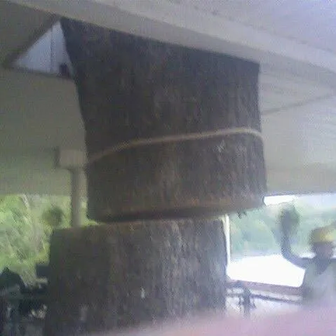 Custom yard maintenance for year-round maintenance across Russellville, AR - Dunlap Tree & Land Services