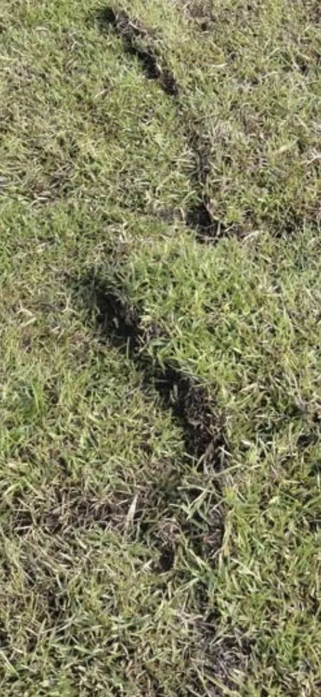 Affordable yard maintenance near you across St Augustine, FL - Dunn Deal Investments