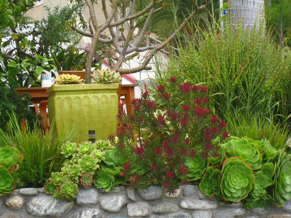 Local landscape installation for year-round maintenance in San Luis Obispo, CA by Dunn Gardens