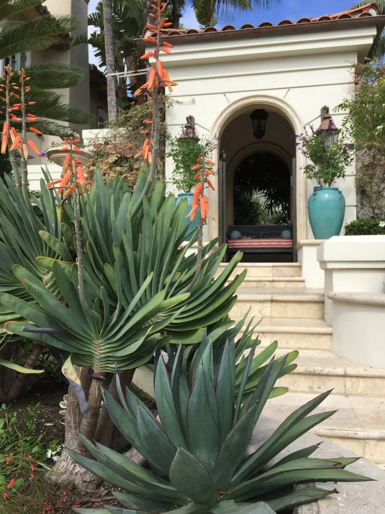 Expert landscape installation for homes in San Luis Obispo, CA by Dunn Gardens