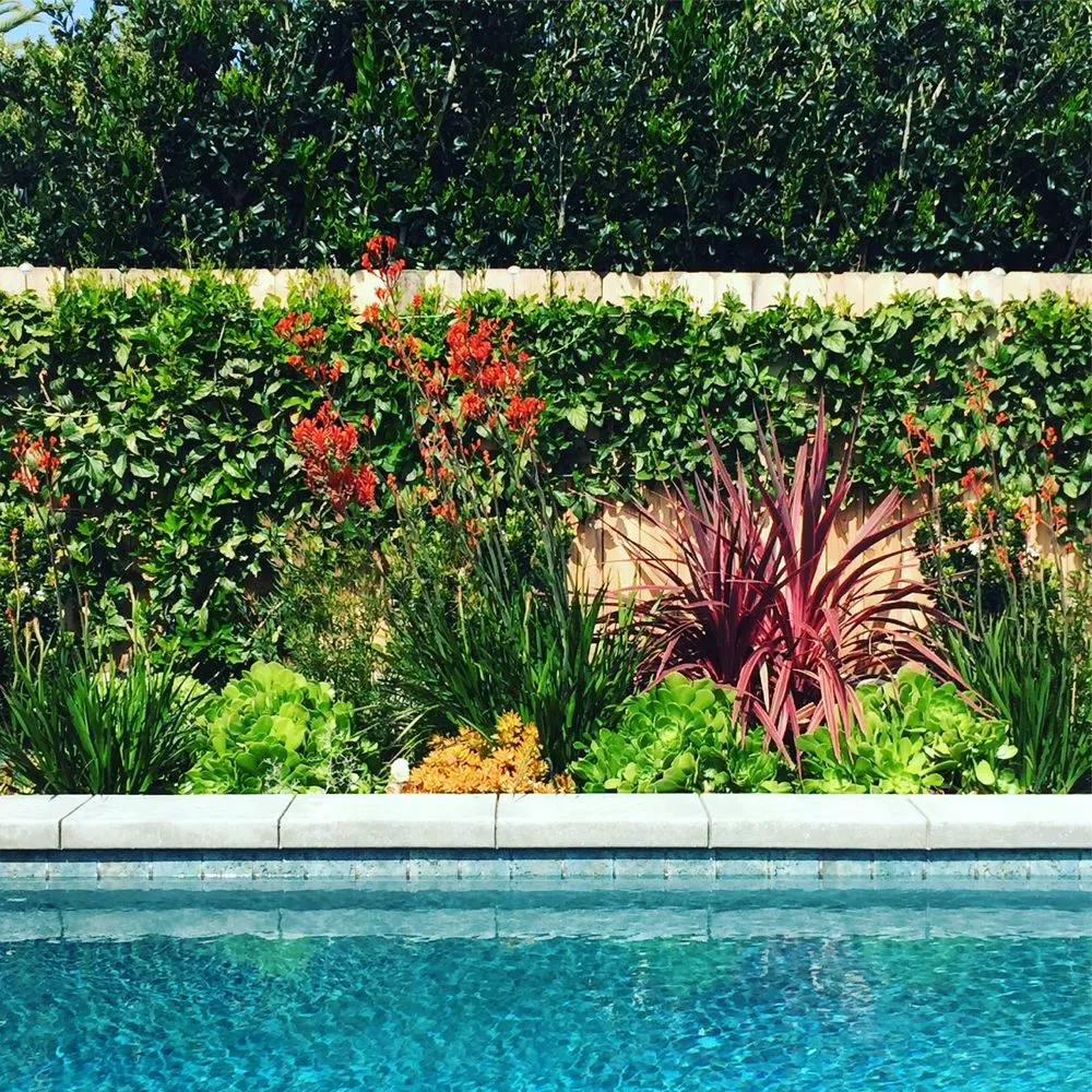 Professional landscape installation for outdoor upgrades across San Luis Obispo, CA - Dunn Gardens