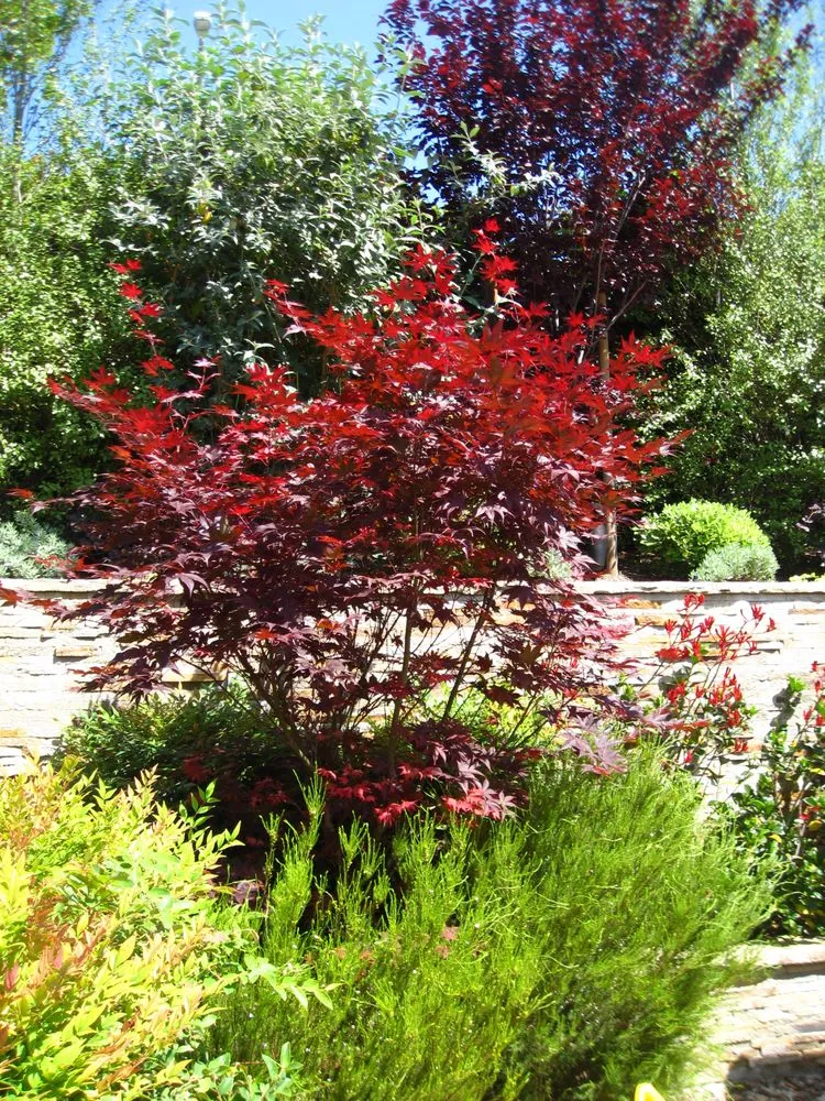 Professional landscape installation experts serving San Luis Obispo, CA - Dunn Gardens