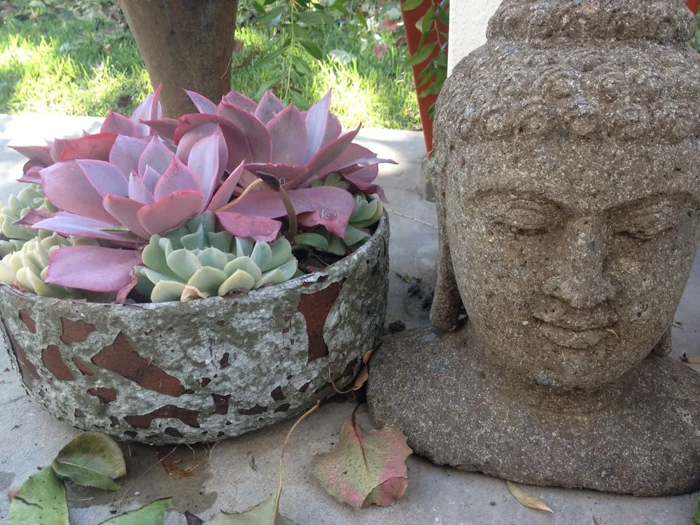 Reliable garden landscaping experts serving San Luis Obispo, CA - Dunn Gardens